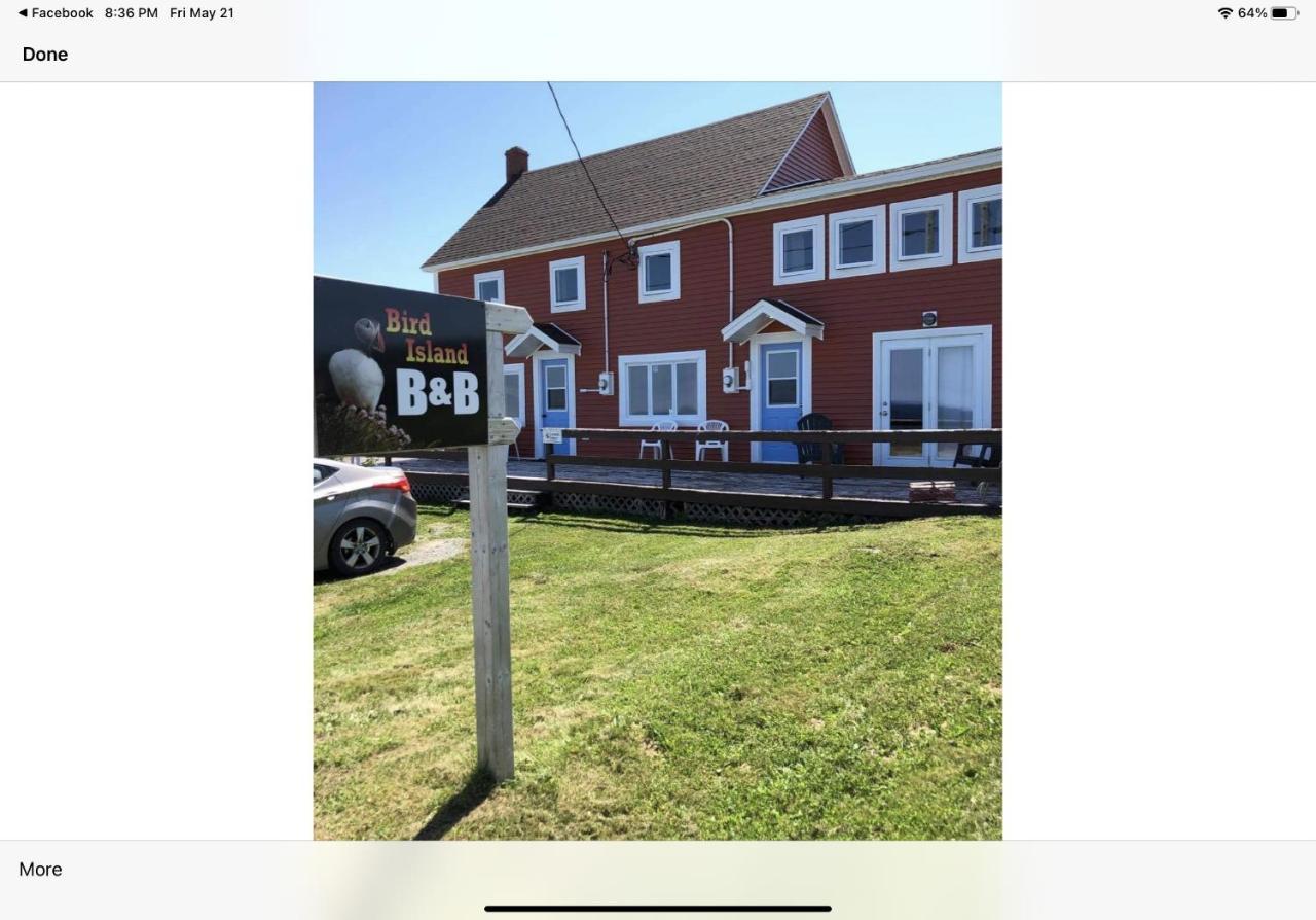 Bird Island B&B Bed And Bubble Elliston Eksteriør billede