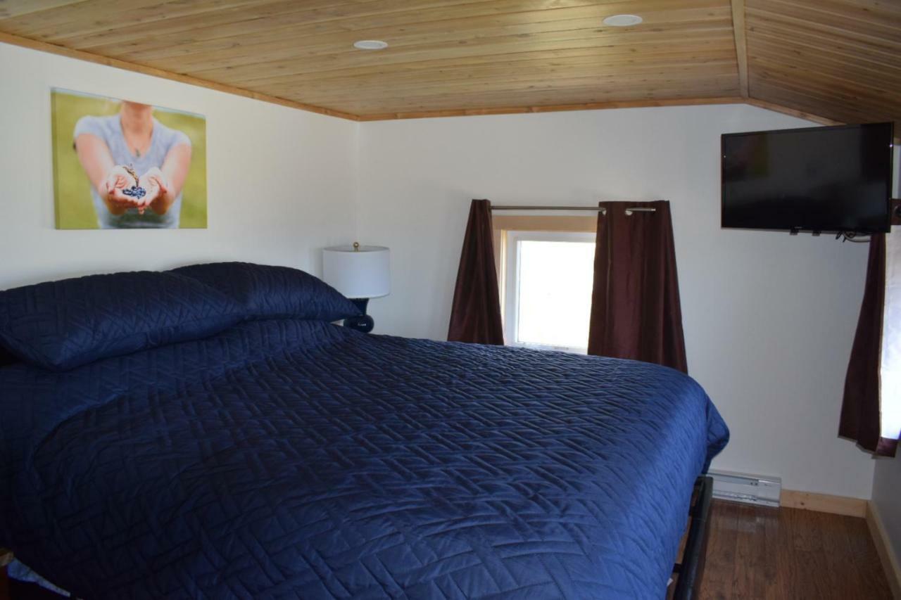 Bird Island B&B Bed And Bubble Elliston Eksteriør billede